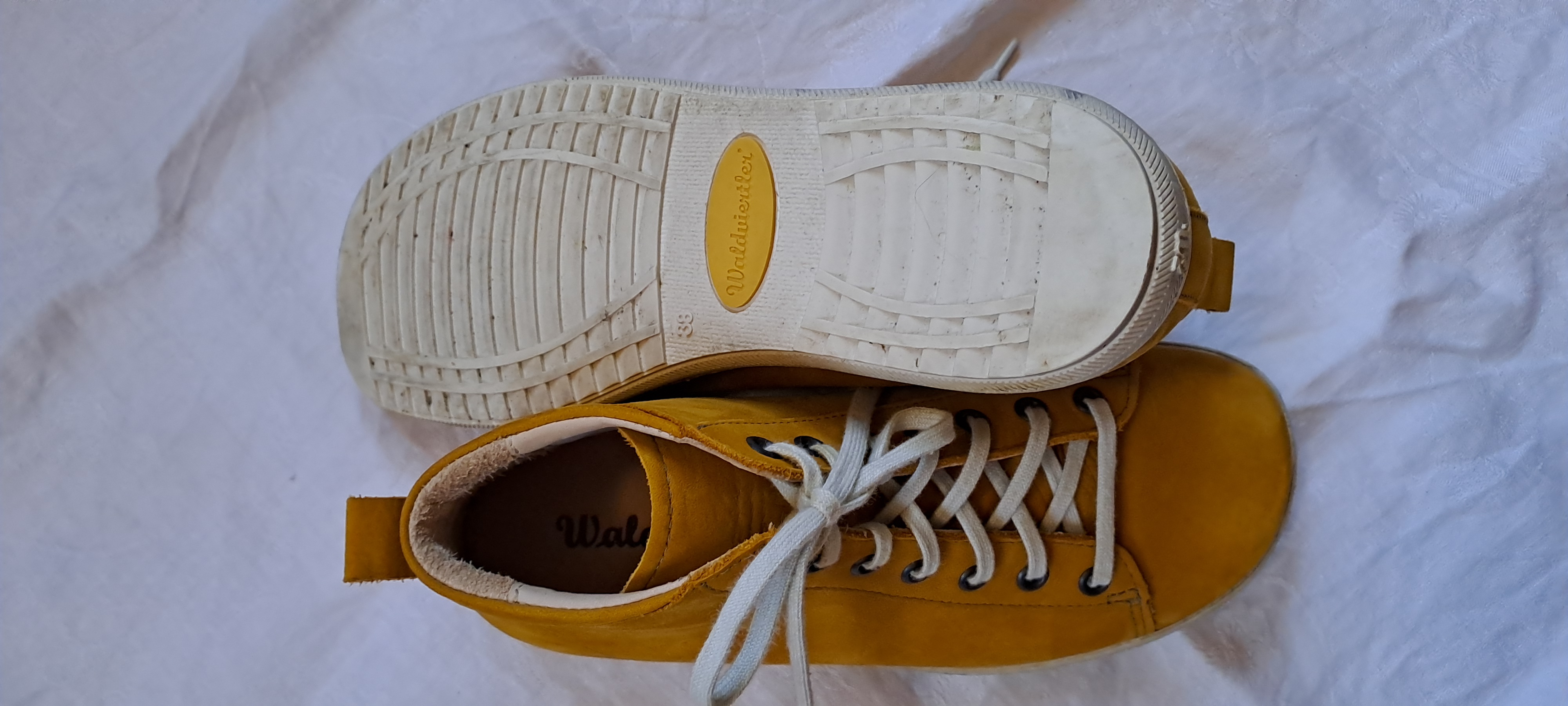 Wirbelwind,  Curry, F38