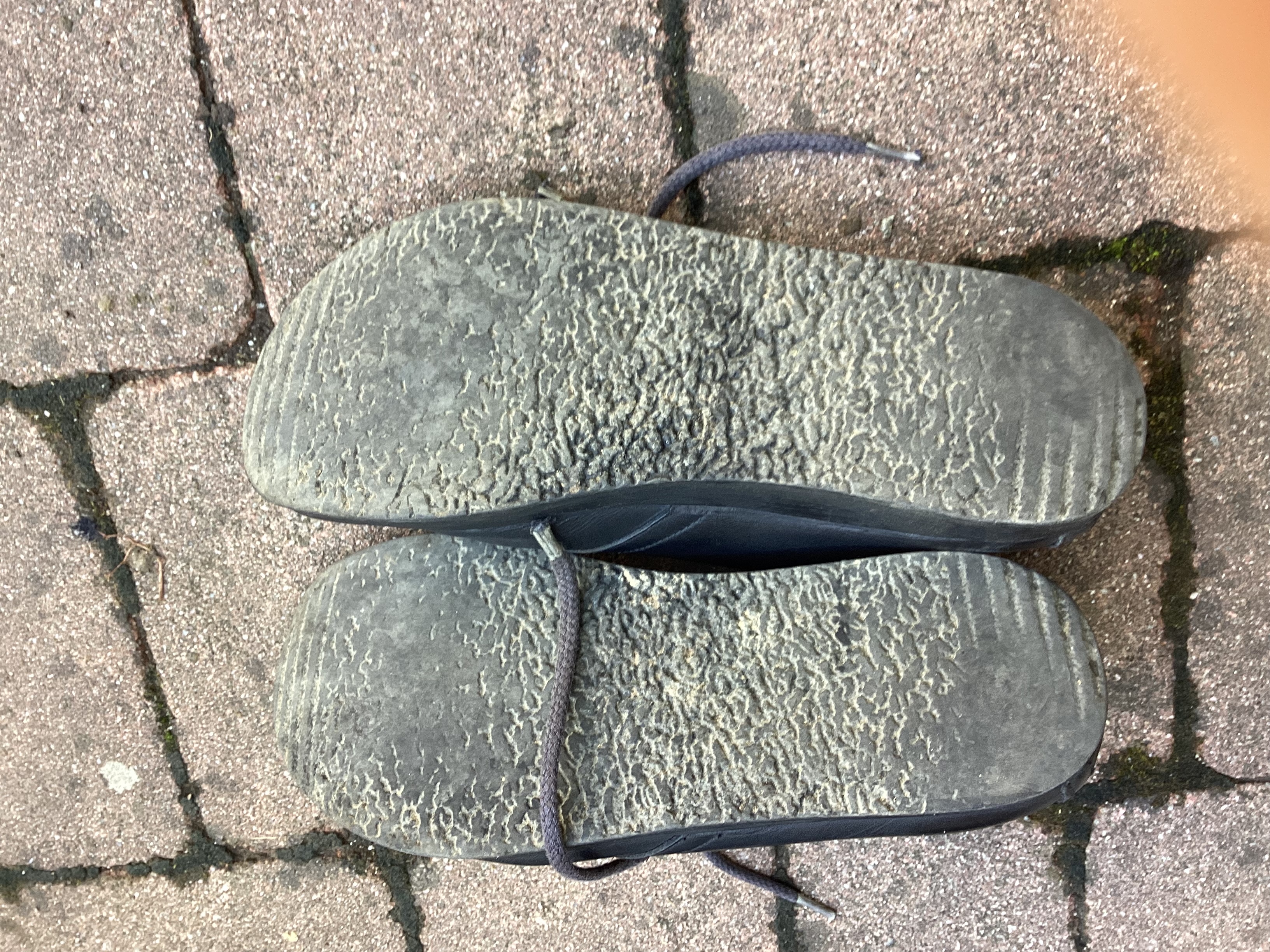 Phönix und Komod