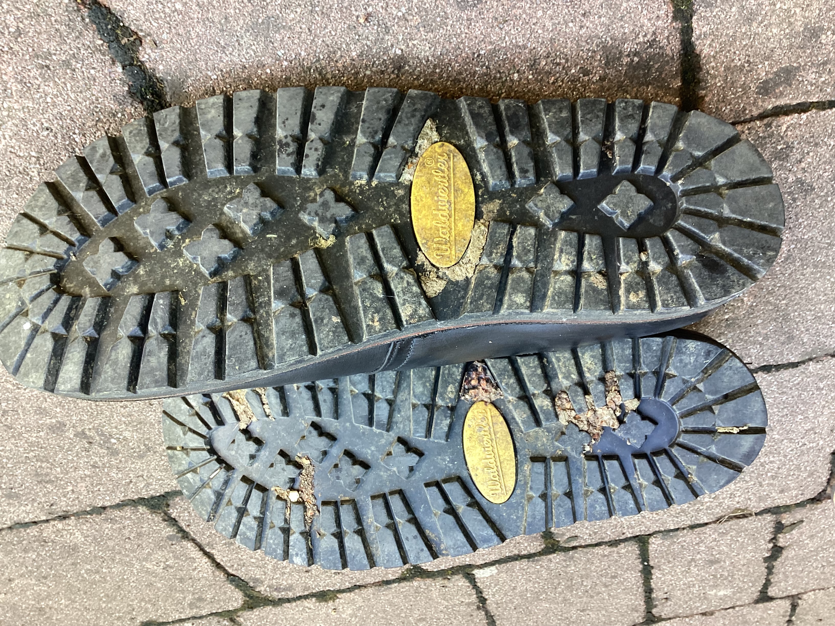 Phönix und Komod