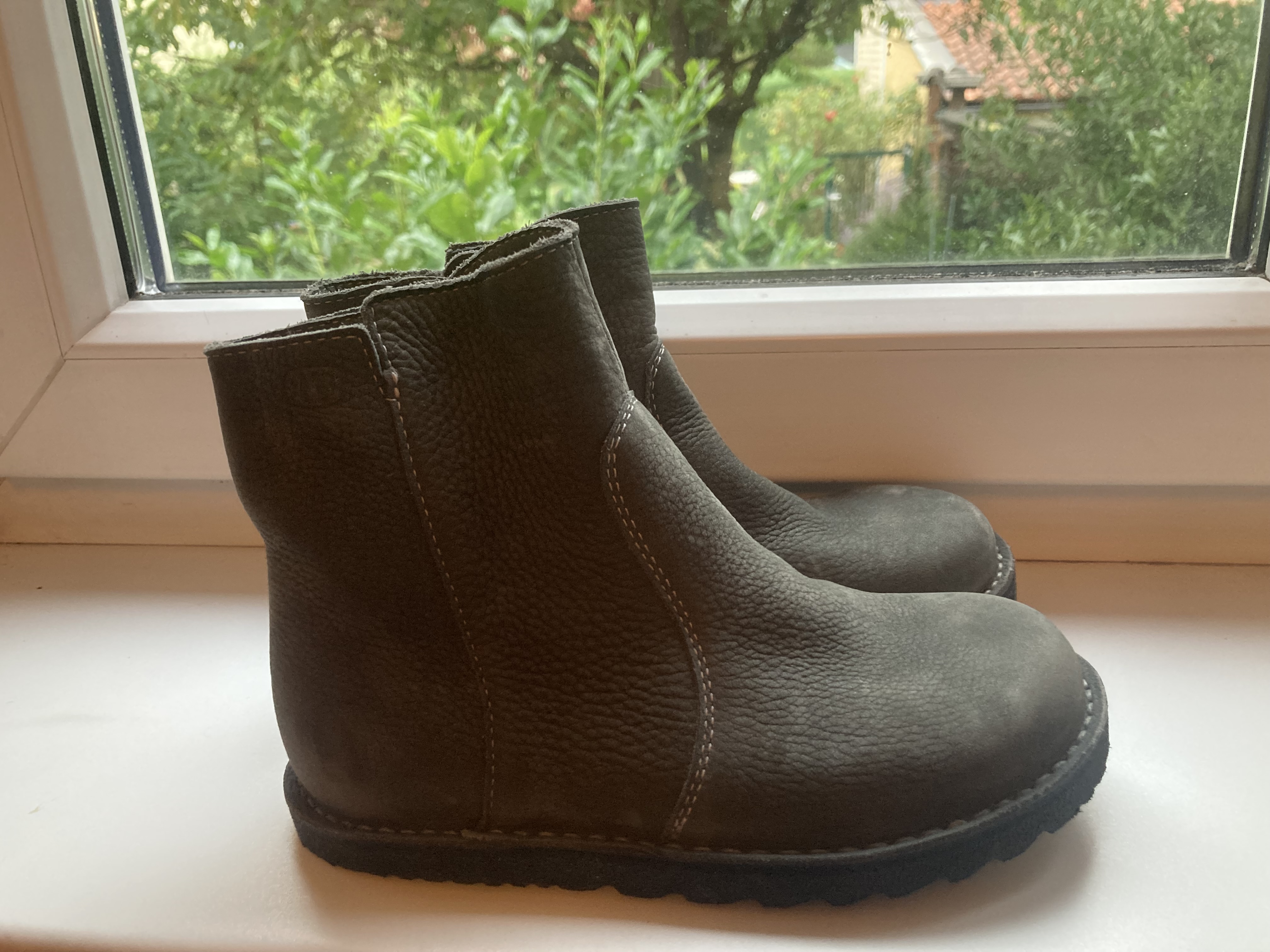 Waldviertler Pony 31