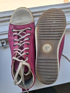 Twiga fuchsia
