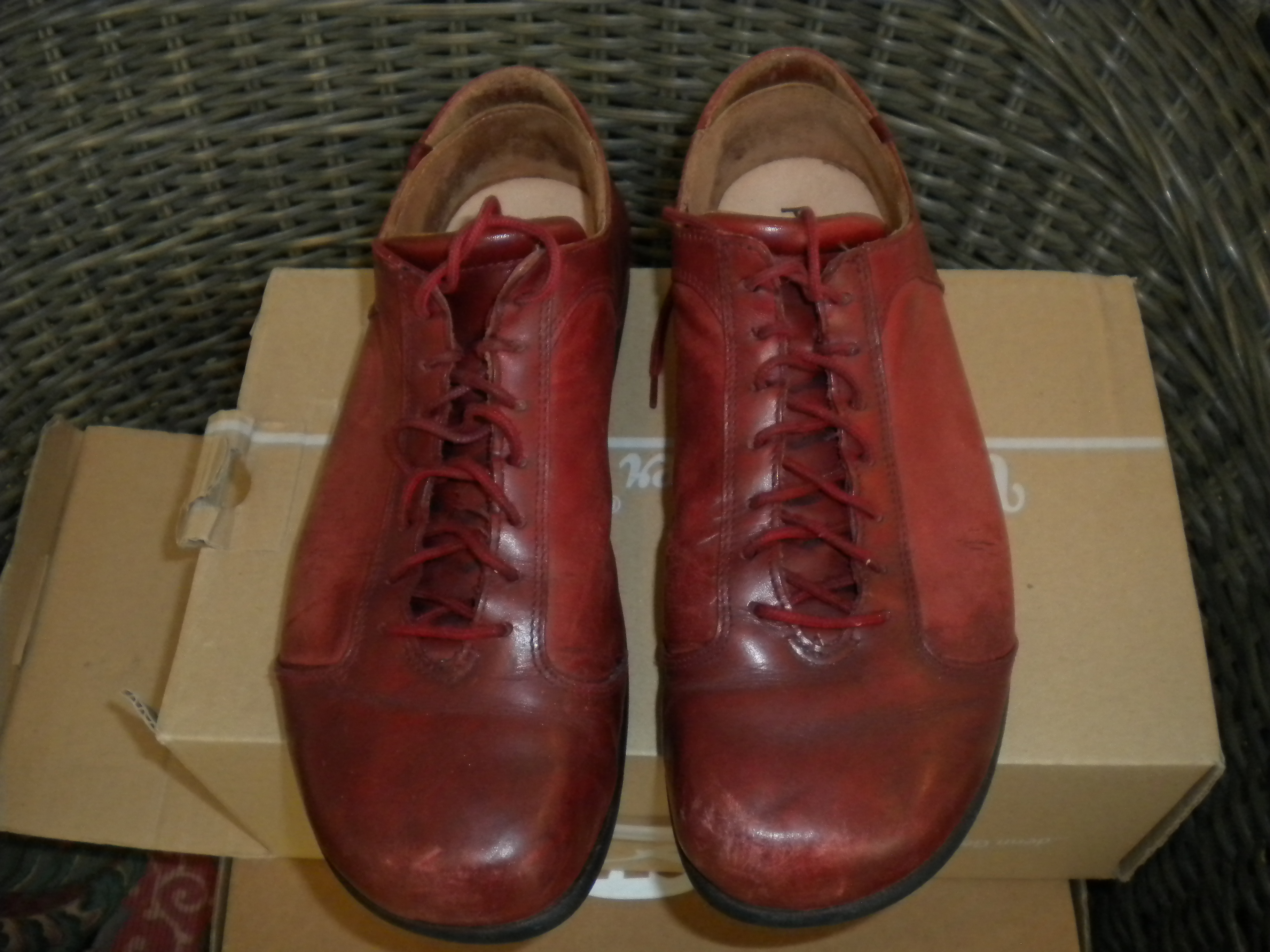 Königsadler rot Größe F40