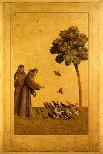 FranzAssisi-jpeg_FfP2D0e.format-webp