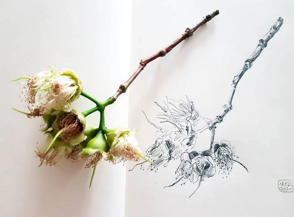 NATURtagebuch
